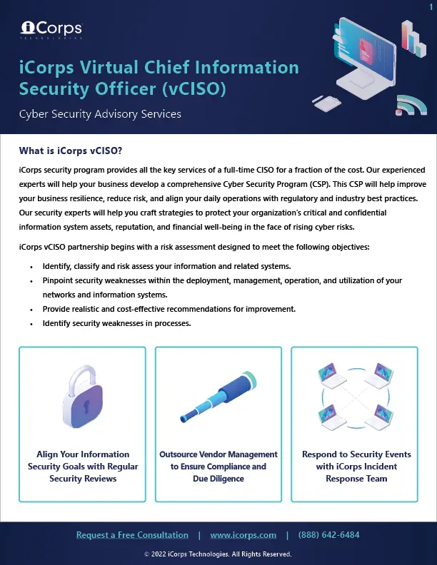 Cyber Security Advisory Services - vCISO Services